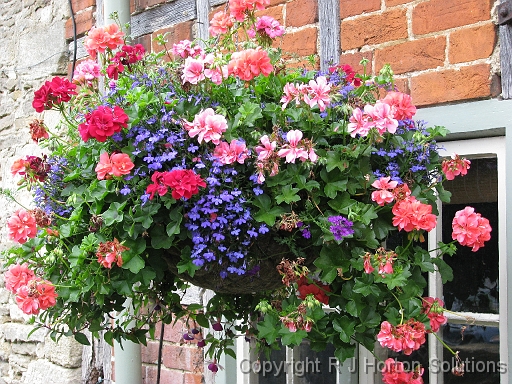 Hanging basket Lacock_4